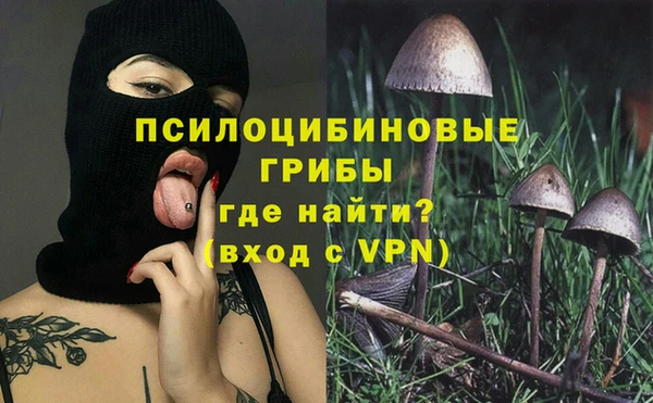 СК Кулебаки