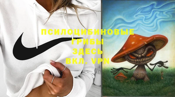 СК Кулебаки