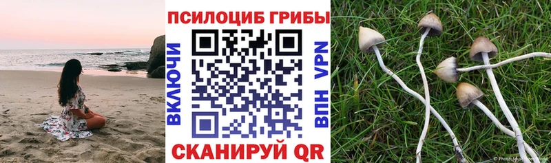 Псилоцибиновые грибы GOLDEN TEACHER Палласовка