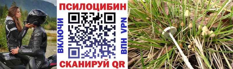купить наркотики цена Палласовка Псилоцибиновые грибы ЛСД